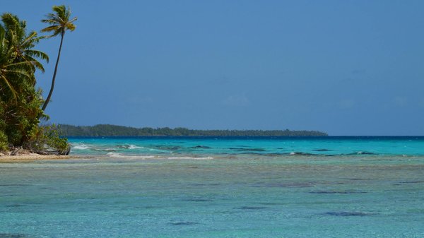 Why Do Travelers Prefer Cottages Over Hotels in the UK?